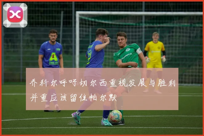 乔科尔呼吁切尔西重视发展与胜利并重应该留住帕尔默