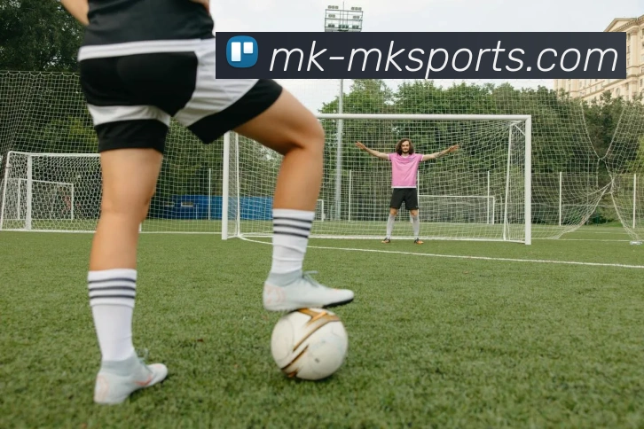 MK体育发展历程