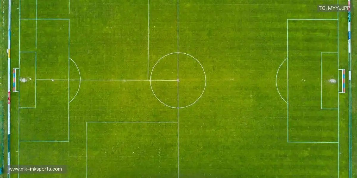 📺 实时解说,带你沉浸式感受赛场心跳!